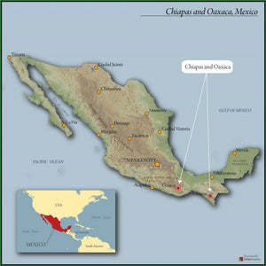 MEXICO Chiapas ORGANIC  (Medium Roast)